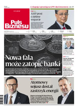 Puls Biznesu 234/2021