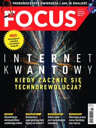 Focus 10/2021