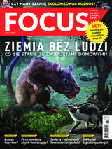 Focus 11/2021