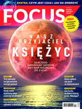 Focus 12/2021