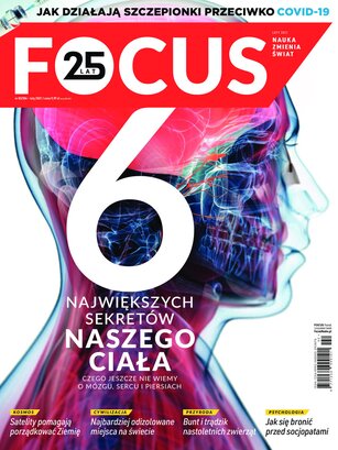 Focus 2/2021