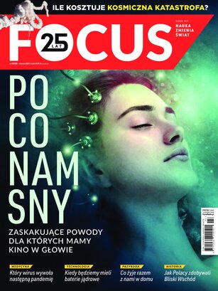 Focus 3/2021