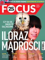 Focus 4/2021