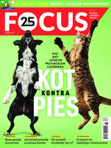 Focus 7/2021