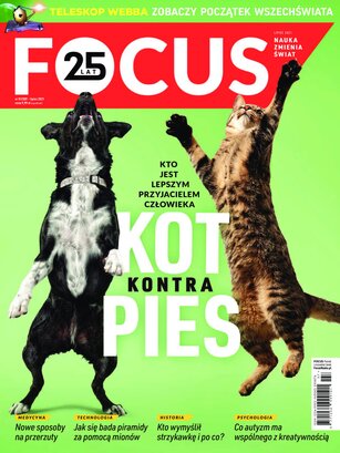 Focus 7/2021