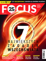 Focus 8/2021