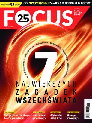 Focus 8/2021
