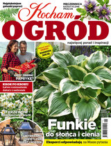 Kocham Ogród 8/2021