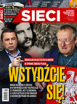 Sieci 22/2021