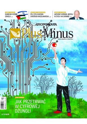 Rzeczpospolita 117/2021