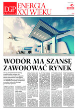 Dziennik Gazeta Prawna 119/2021