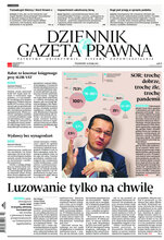 Dziennik Gazeta Prawna 30/2021