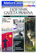 Dziennik Gazeta Prawna 54/2021