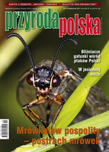 Przyroda Polska 10/2021