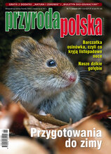 Przyroda Polska 11/2021