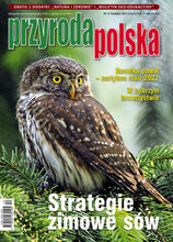 Przyroda Polska 12/2021