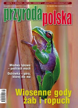 Przyroda Polska 5/2021