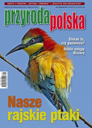 Przyroda Polska 9/2021
