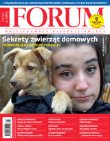 Forum 7/2021