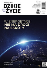 Dzikie Życie 2/2021