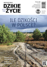 Dzikie Życie 3/2021
