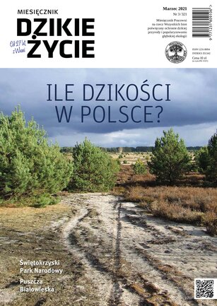 Dzikie Życie 3/2021