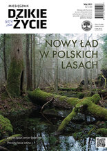 Dzikie Życie 5/2021