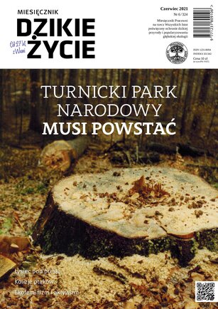 Dzikie Życie 6/2021