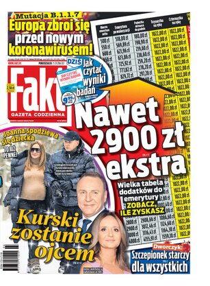 Fakt 19/2021