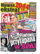 Fakt 31/2021