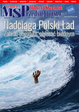 Gazeta Małych i Średnich Przedsiębiorstw 11/2021