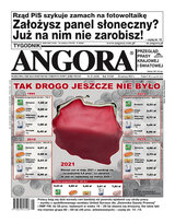 Angora 25/2021