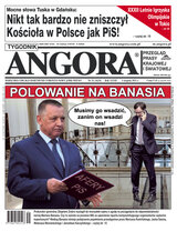 Angora 31/2021