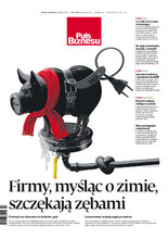 Puls Biznesu 128/2022