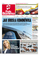 Puls Biznesu 161/2022