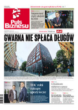 Puls Biznesu 163/2022