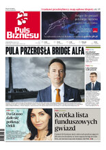 Puls Biznesu 177/2022
