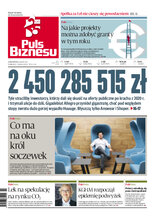 Puls Biznesu 18/2022