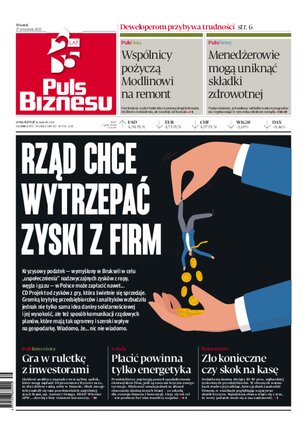 Puls Biznesu 184/2022