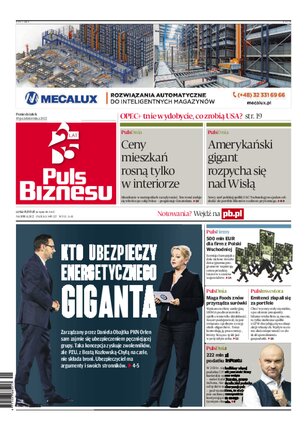 Puls Biznesu 193/2022