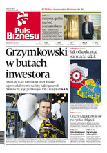 Puls Biznesu 197/2022