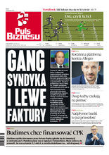 Puls Biznesu 213/2022