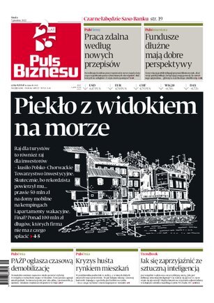 Puls Biznesu 232/2022