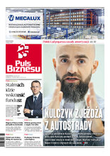Puls Biznesu 24/2022