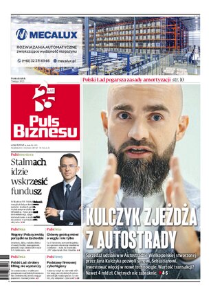 Puls Biznesu 24/2022
