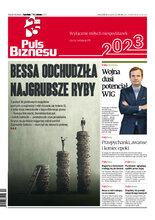 Puls Biznesu 248/2022