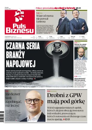 Puls Biznesu 25/2022