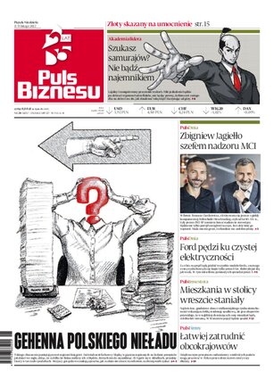 Puls Biznesu 28/2022