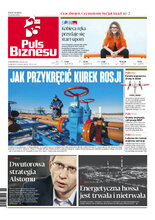 Puls Biznesu 43/2022