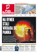 Puls Biznesu 46/2022